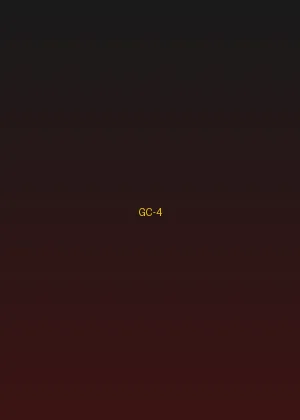 四虎视频 - 龙虎门海报